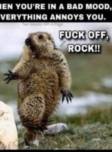 Regina Escort Cptnubbs   Adult Entertainer in Canada, Adult Service Provider, Escort and Companion.