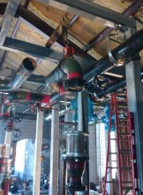 San Antonio Escort Plagueis Adult Entertainer in United States, Adult Service Provider, Escort and Companion.