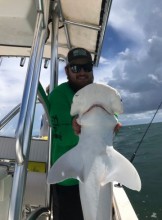 St. Louis Escort Jacobjfolk Adult Entertainer in United States, Adult Service Provider, Escort and Companion.