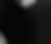 Photo of Tampa Escort Caela - photo 1 Tampa Escort Caela Adult Entertainer in United States, Female Adult Service Provider, American Escort and Companion. - photo 1