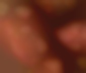 Photo of Milwaukee Escort SexyMichelle - photo 1 Milwaukee Escort SexyMichelle Adult Entertainer in United States, Female Adult Service Provider, American Escort and Companion. - photo 1