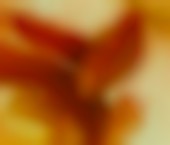 Oakland Escort ExoticEbonyGirl Adult Entertainer in United States, Female Adult Service Provider, Escort and Companion. - photo 5