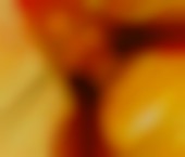 Oakland Escort ExoticEbonyGirl Adult Entertainer in United States, Female Adult Service Provider, Escort and Companion. - photo 3