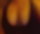 Manhattan Escort A.Luxx Adult Entertainer in United States, Female Adult Service Provider, German Escort and Companion. - photo 5