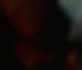 Photo of Chicago Escort CandiceChicago - photo 1 Chicago Escort CandiceChicago Adult Entertainer in United States, Trans Adult Service Provider, Italian Escort and Companion. - photo 1