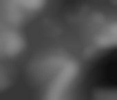 Photo of Vancouver Escort Leona  Davis - photo 8 Vancouver Escort Leona  Davis Adult Entertainer in Canada, Female Adult Service Provider, Canadian Escort and Companion. - photo 8